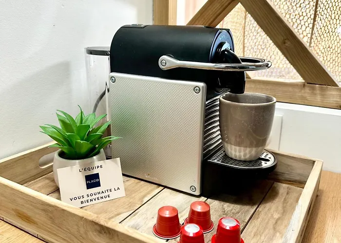 Apartment Le Plumacon - Agreable - Proche Gare *